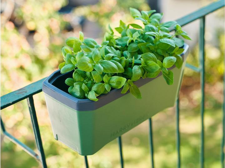 Actual product image Gusta Garden HARRY HERBS Herb Pot with Hood, Dark Green (35.80 x 15 x 25 cm)