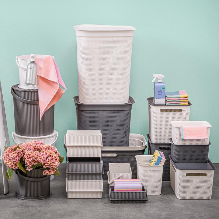 Image du produit Rotho Brises 1 (50 l)