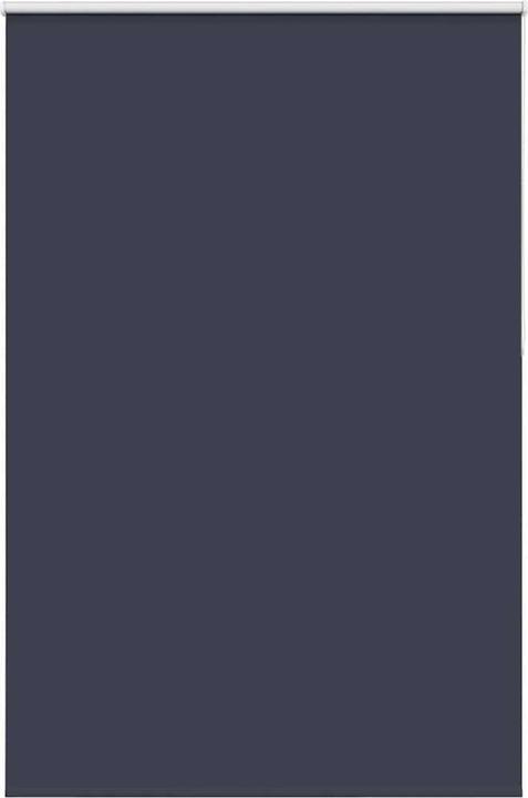 Actual product image vidaXL Verdunkelungsrollo (150 x 210 cm)