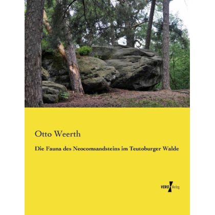 Die Fauna des Neocomsandsteins im Teutoburger Walde, Fachbücher von Otto Weerth