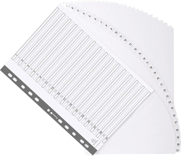 Actual product image Exacompta Cardboard register - white