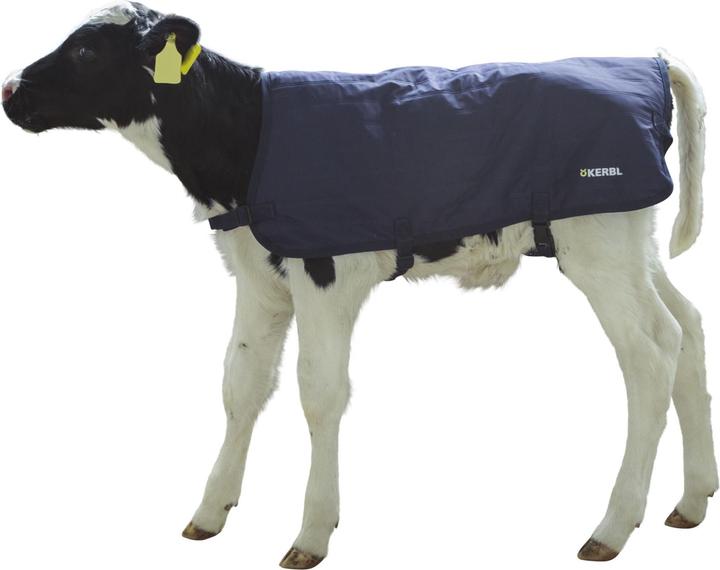 Actual product image Kerbl Calf blanket EasyWear, light version, 70cm