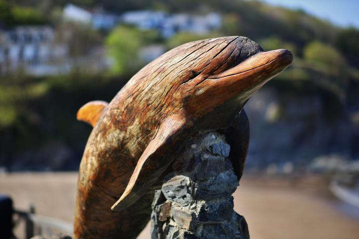 Actual product image Samyang 85mm f/1.4 MK2 Sony E-Mount (Sony E, full size)