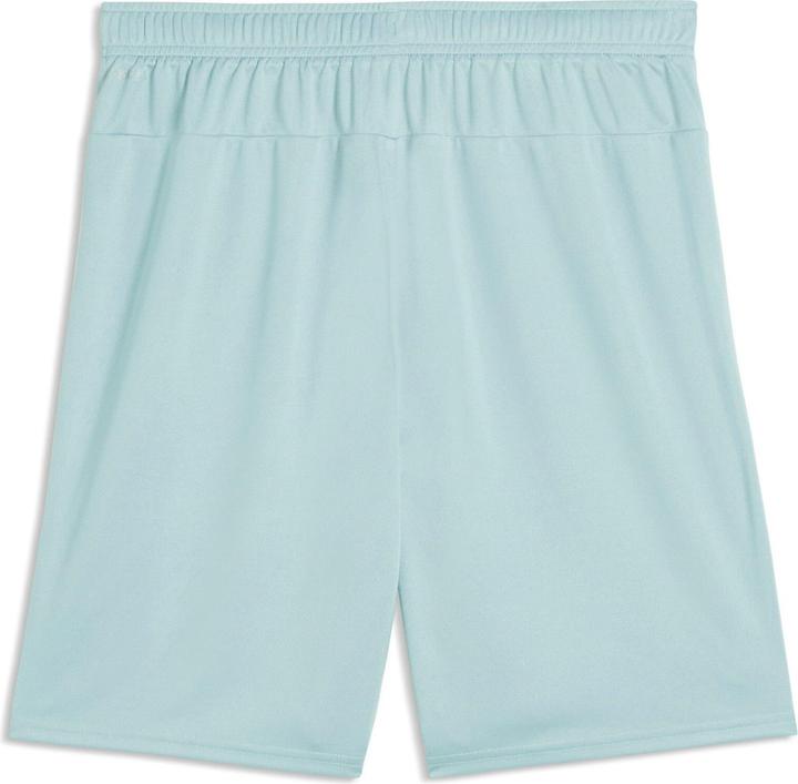 Produktbild Puma teamGOAL Shorts (S)