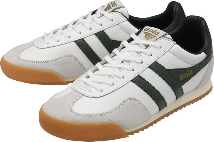 Black, Evergreen, White
