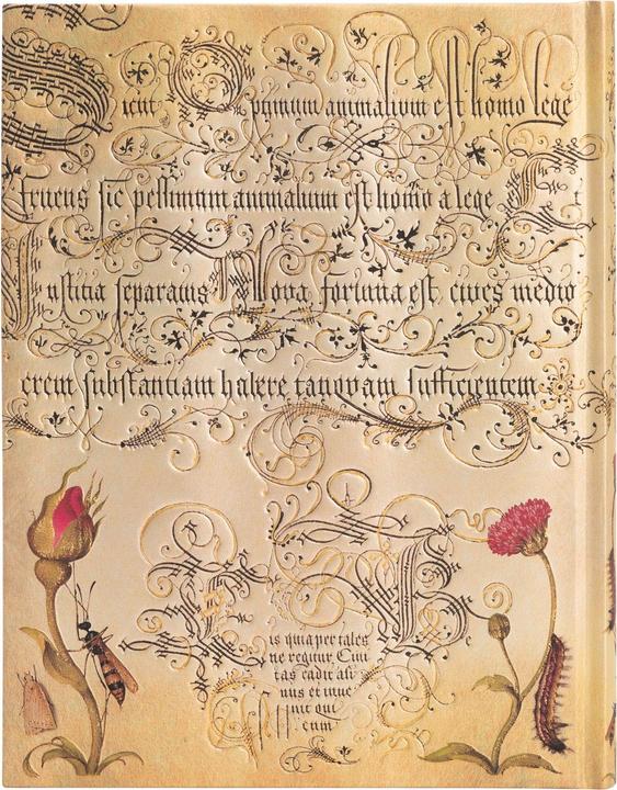 Produktbild Paperblanks Notizbuch Flämische Rose 18 x 23 cm, Liniert (18 x 23 cm, Liniert)