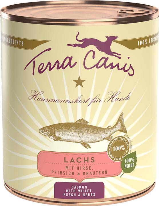 Pesca, Erbe aromatiche, Salmone, Sorgo