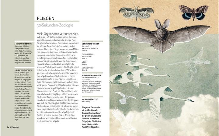 Produktbild Librero Fellowes:Zoologie in 30 Sekunden (Deutsch, Englisch, Mark Fellowes, 2024)