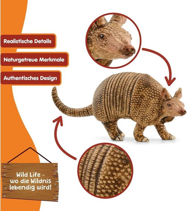 Actual product image Schleich Armadillo