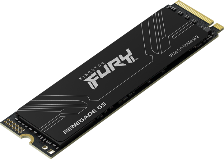 Productafbeelding Kingston FURY Renegade G5 (1024 GB, M.2 2280)