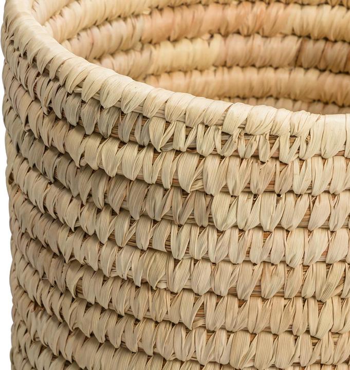 Actual product image pfister Palm
