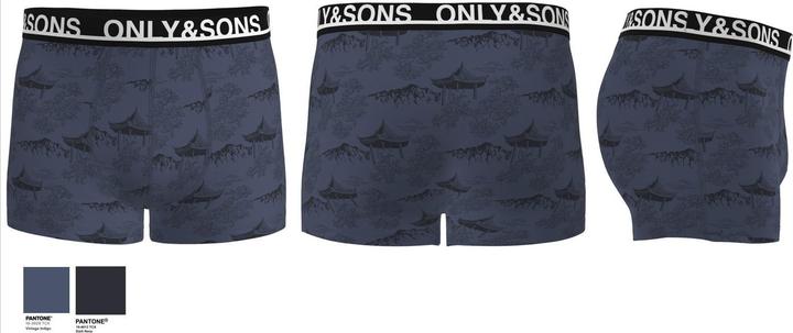 Actual product image Only & Sons Onsfloyd Aop Trunks 1-Pack (XS)