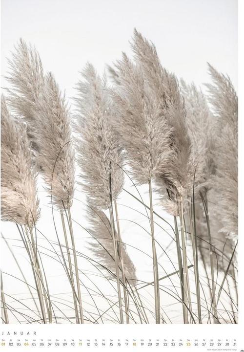 Actual product image Mareike Böhmer: pure & simple Kalender 2026 (Hardcover, German)