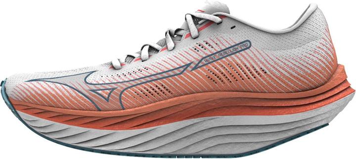 Mizuno Wave Rebellion Pro (42.5)