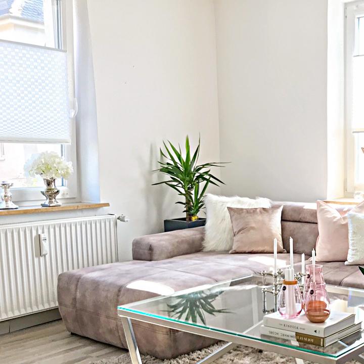 Image du produit Flowerbox Palmier - Yucca Elephantipes Palmier (80 cm)