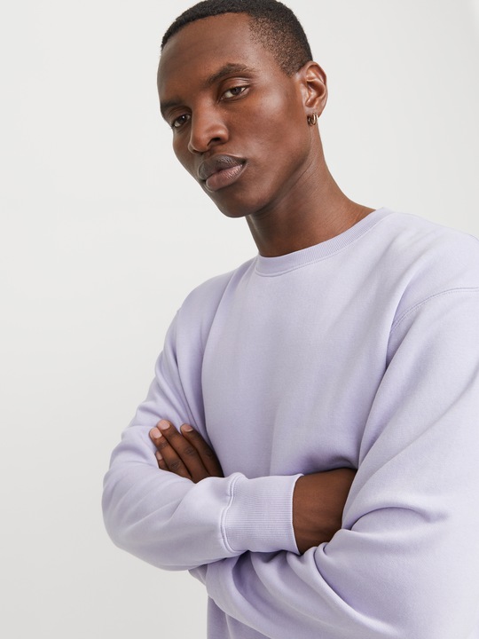 Actual product image Jack & Jones Jjestar Basic Sweat Crew Neck Noos (XS)