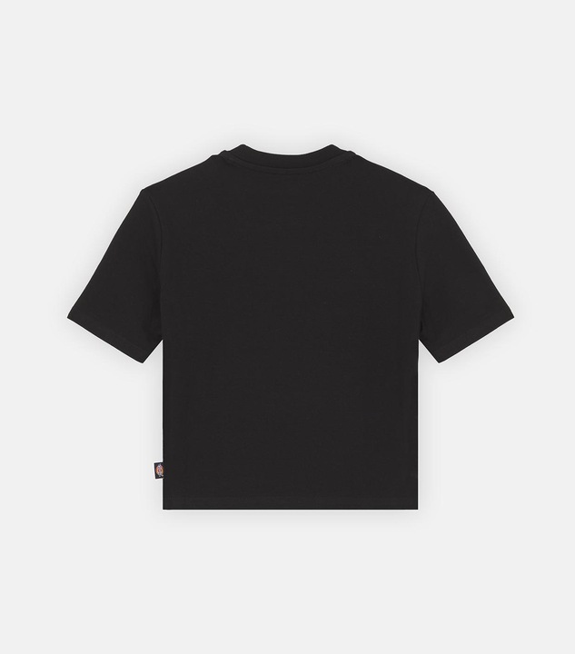 Dickies Maple Valley Tee Black