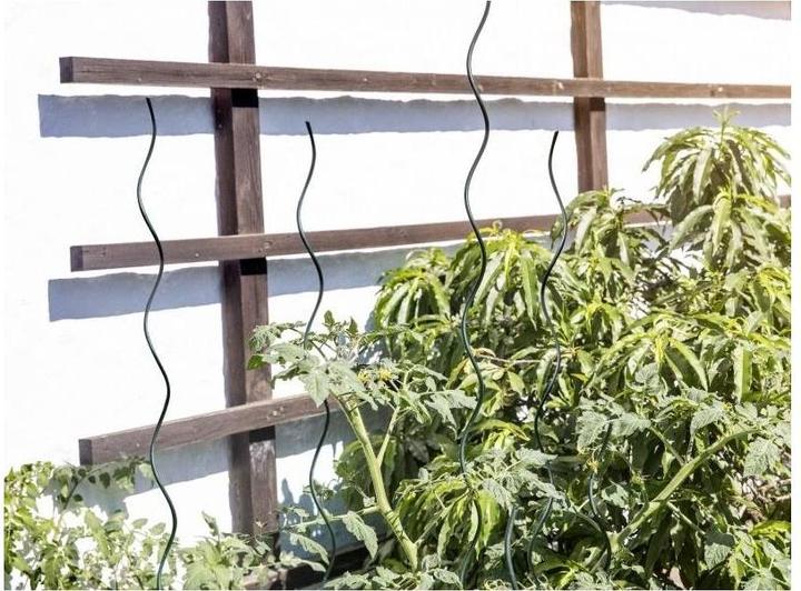 Immagine prodotto Windhager Barretta a spirale di pomodoro (6 cm, 6 cm)