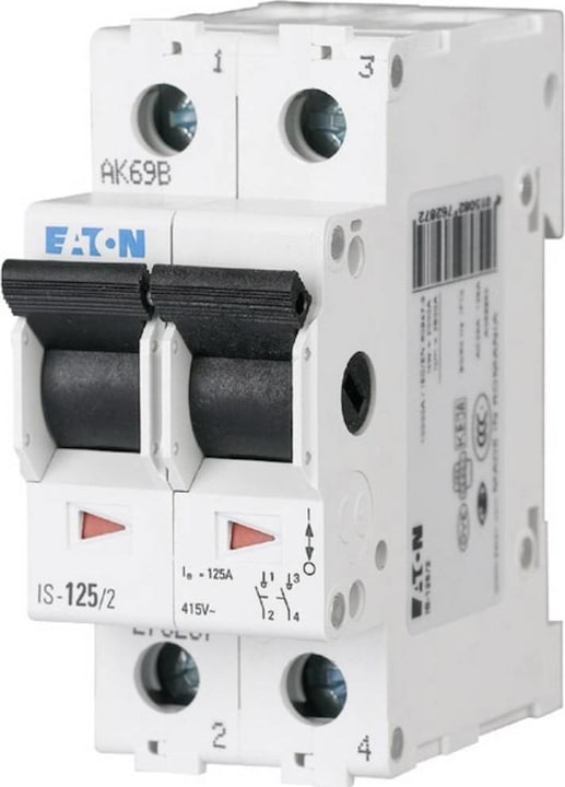 Immagine prodotto Eaton Interruttore principale grigio 2 poli 25 A