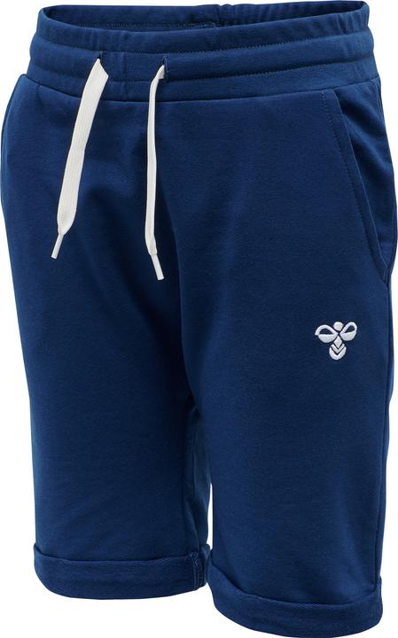 hummel Flicker Shorts (116)