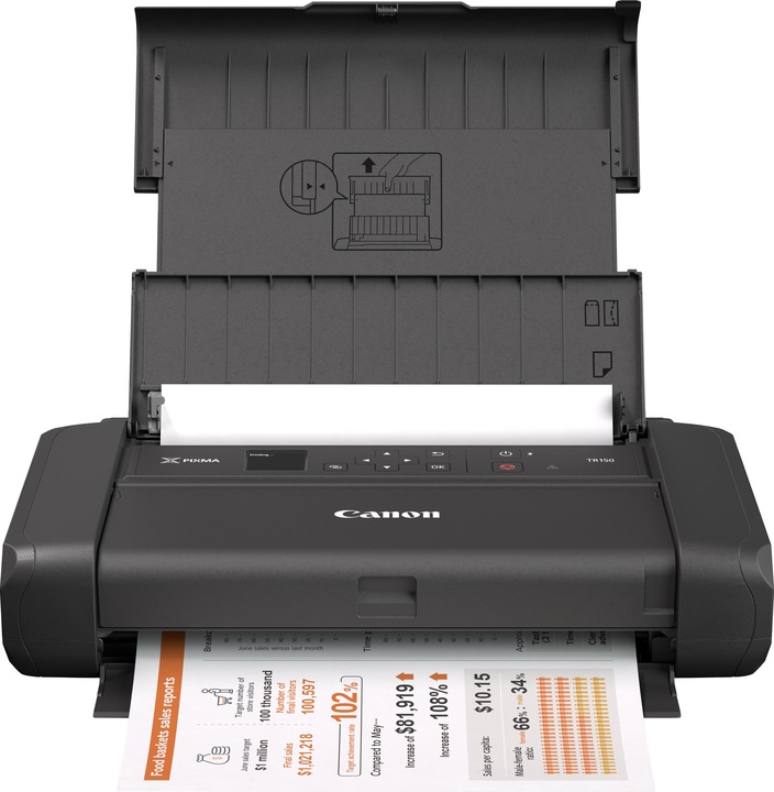 Actual product image Canon PIXMA TR150, battery included (Ink, Colour)
