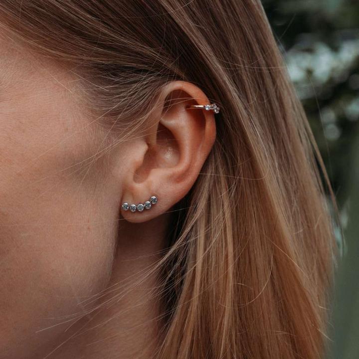 Actual product image Bijouteria Earrings (Stainless steel, Crystal)