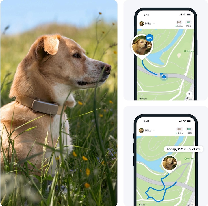 Immagine prodotto Tractive GPS Tracker Dog 6 (Cane)