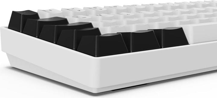 Actual product image Sharkoon SGK50 S4 Gen2 wh Gateron yellow DE (DE, Cable)