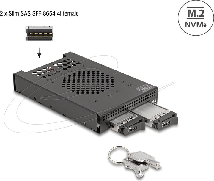Actual product image Delock 3.5? Removable frame for 2 x M.2 NVMe SSD with Slim SAS