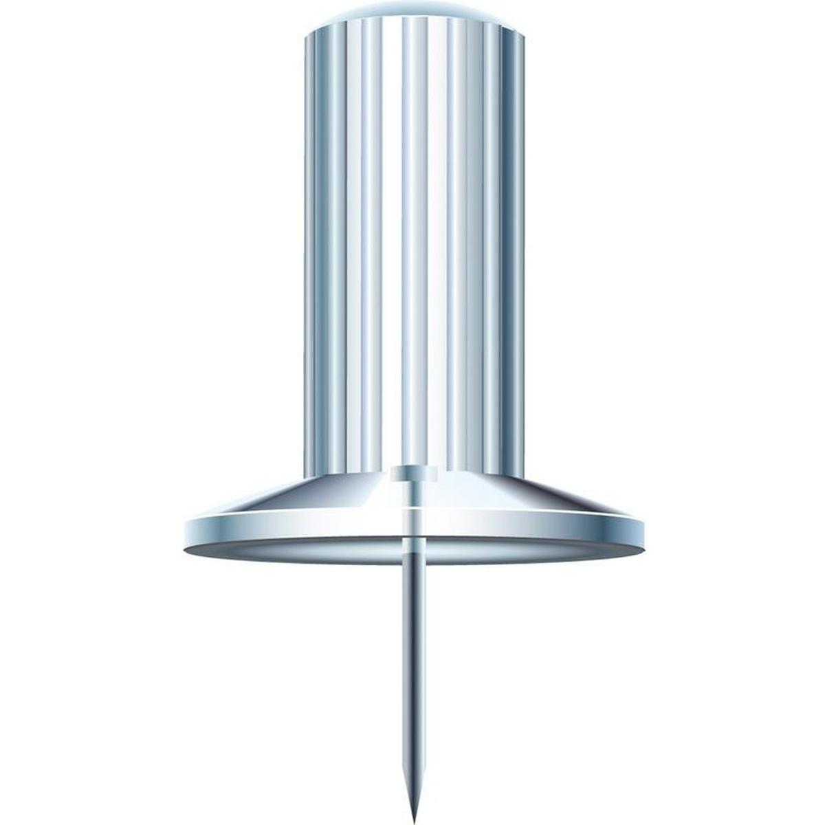 Exacompta, Kartenaufbewahrung, Pinnwandnadeln Ø 10 mm, transparent (Spezial)