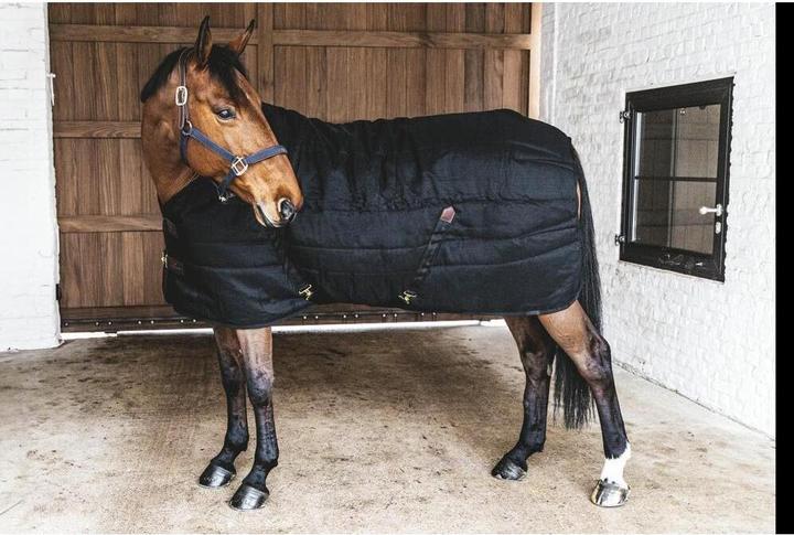Produktbild Kentucky Horsewear Classic 100g (160 cm)
