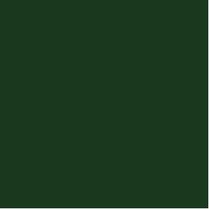 Image du produit Hammerite Laque protectrice pour métaux (750 ml, Vert foncé)