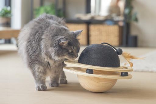 Produktbild Designed by Lotte Holz Spielball (Kratzspielzeug Katze)