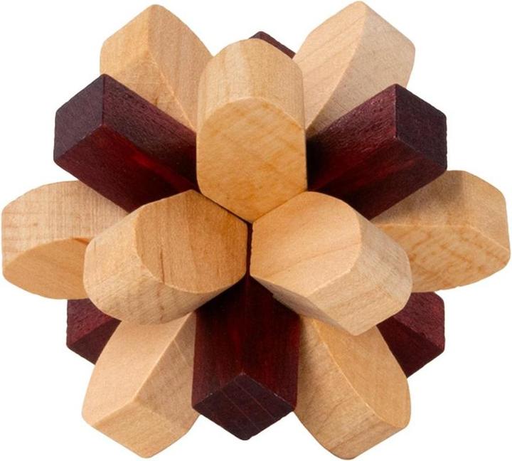 Immagine prodotto Recent Toys Puzzle del cervello n. 2 Lobo parietale (Tedesco)