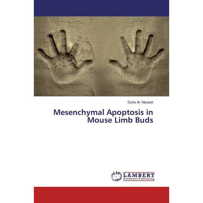 Mesenchymal Apoptosis in Mouse Limb Buds, Fachbücher von Duha Al- Musawi