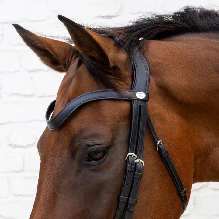 Image du produit Dy'on Bridon équitation muserolle en cuir souple