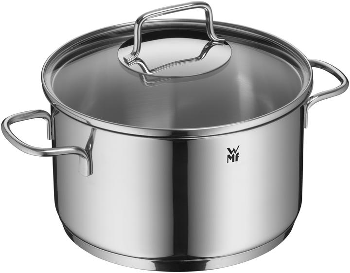 WMF Kochtopf Fleischtopf Induktion 20cm Glasdeckel 2,5 Astoria Edelstahl 18/10