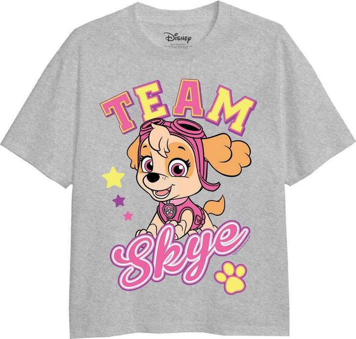 Produktbild Paw Patrol Mädchen Team Skye Heather TShirt (128)