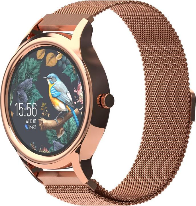 Forever smartwatch ForeVive 3 SB-340 gold