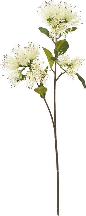 Immagine prodotto Hill Interiors Kunstblume Spray (65 cm)