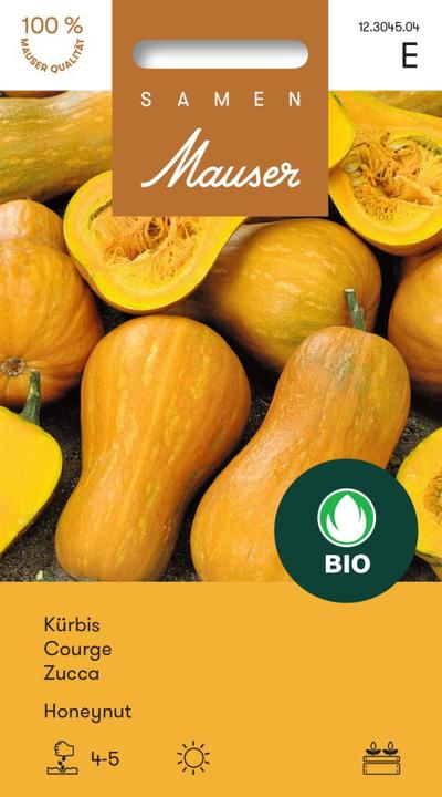Actual product image Samen Mauser Pumpkin Honeynut (Vegetable seeds)