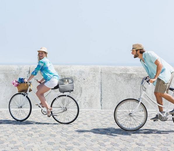 Productafbeelding EBI Fietstas voor bagagedrager (Kat, Hond, Ademend)