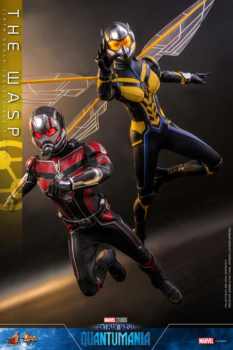 Actual product image Hot Toys Ant-Man & The Wasp: Quantumania figurine Movie Masterpiece 1/6 The Wasp 29 cm