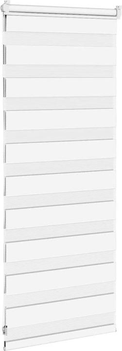 Produktbild vidaXL Zebra-Jalousie (65 x 100 cm)