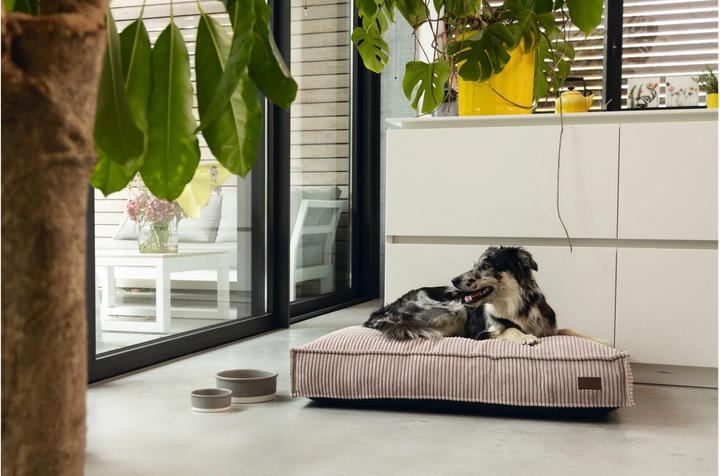 Produktbild Designed by Lotte Ribbed (Hund)