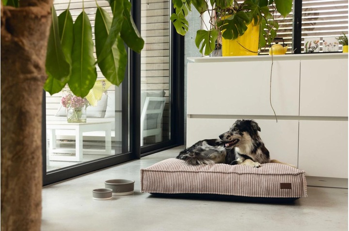 Productafbeelding Designed by Lotte Geribbeld (Hond)