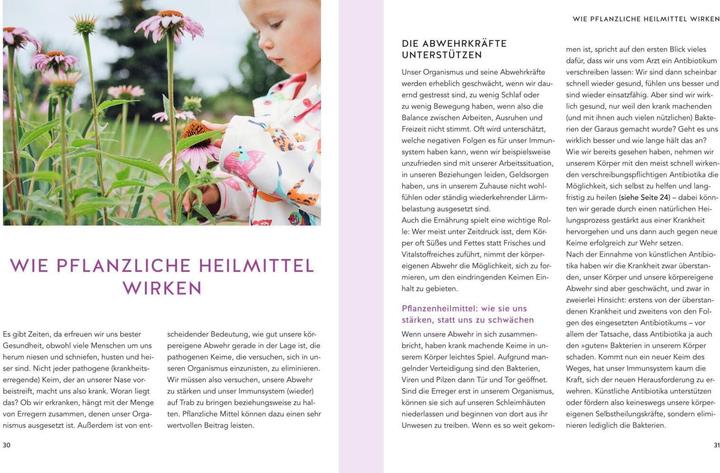 Produktbild Pflanzliche Antibiotika (Deutsch, Aruna M. Siewert, 2020)