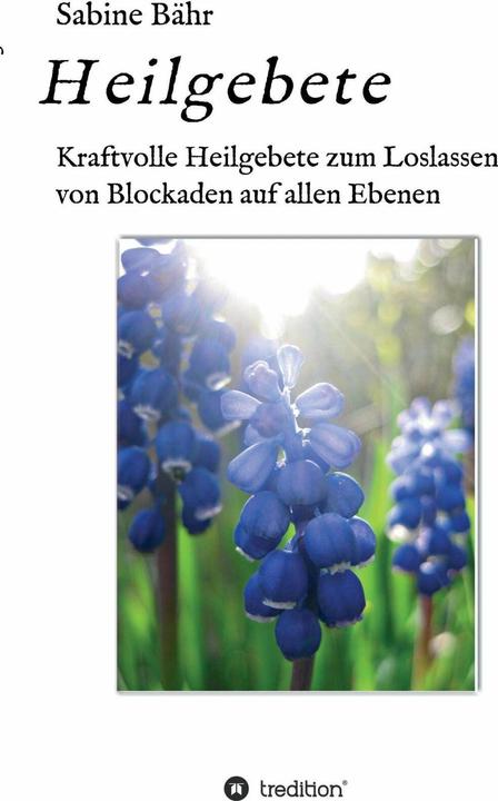 Produktbild Heilgebete (Deutsch, Sabine Bähr, 2016)