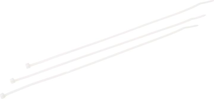 VR-Technics Attache de câble 300 x 3,6 mm, 100 pièces