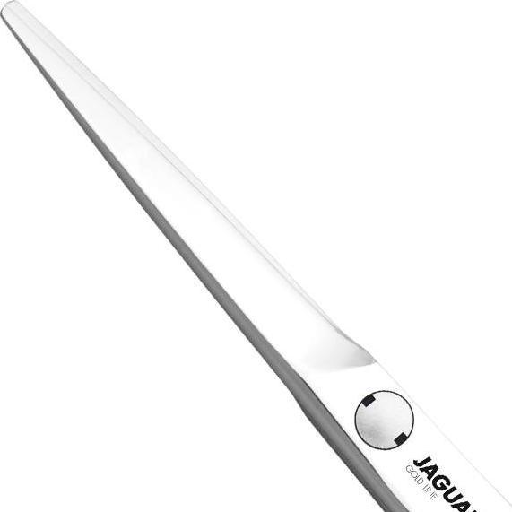 Image du produit Jaguar Diamant E - (15.24 cm)